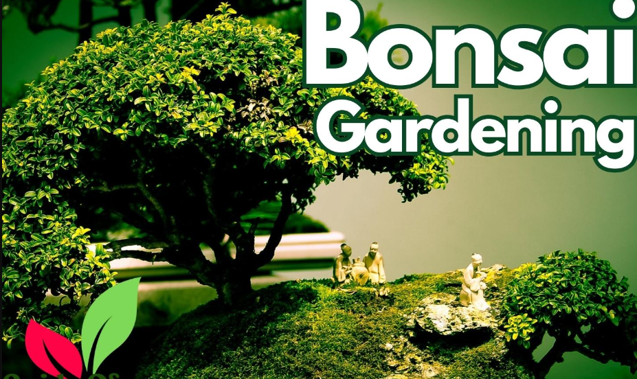 11 Bonsai-Arten: Entfesseln Sie Exotik in Ihrem Haus und Garten: