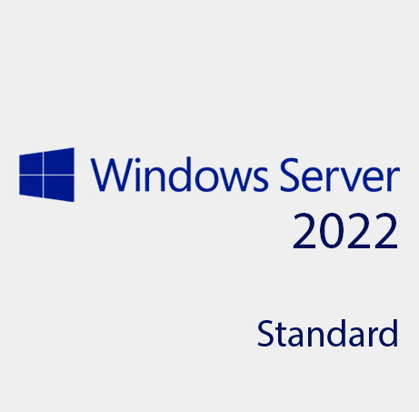 Microsoft Windows Server 2022 Standard auditsicher einrichten